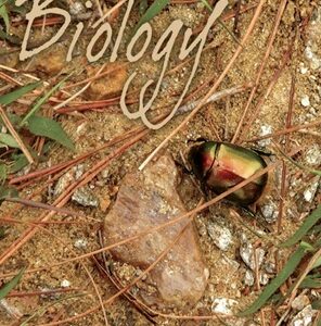 Class 11 (Bio) – Biology